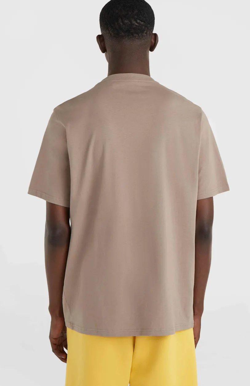 Online O’Neill Future Surf Society T-shirt | Pumpkin Smoke