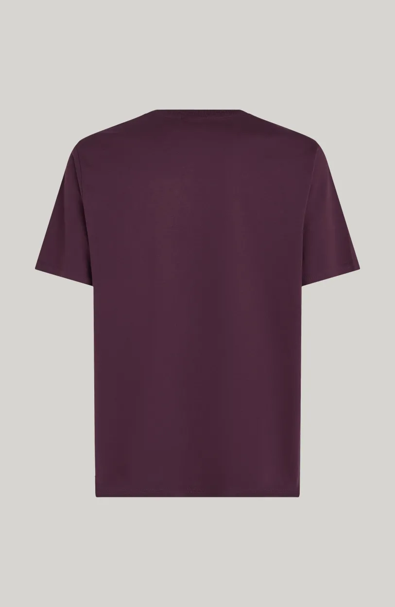 Online O’Neill Future Surf Society T-shirt | Aubergine