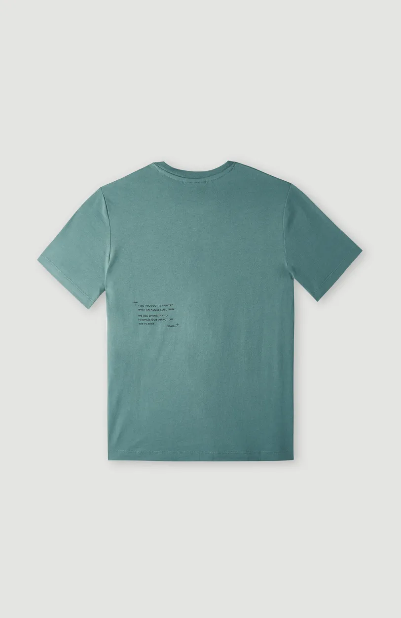 Discount O’Neill Future Surf Society T-shirt | North Atlantic