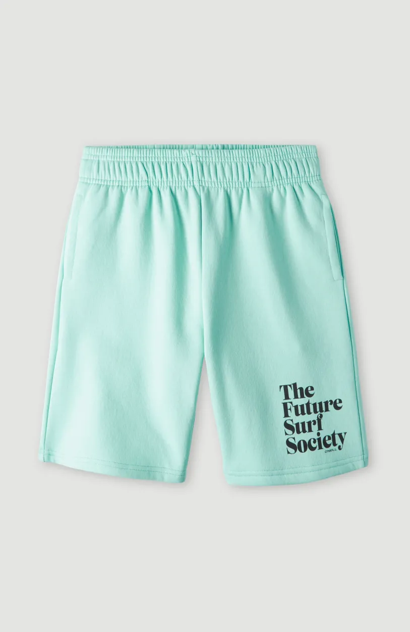 O’Neill Future Surfshort | Beach Glass