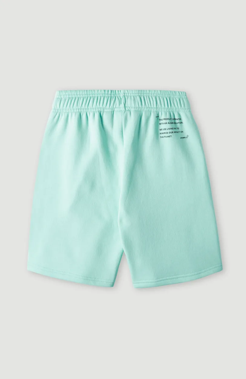 O’Neill Future Surfshort | Beach Glass