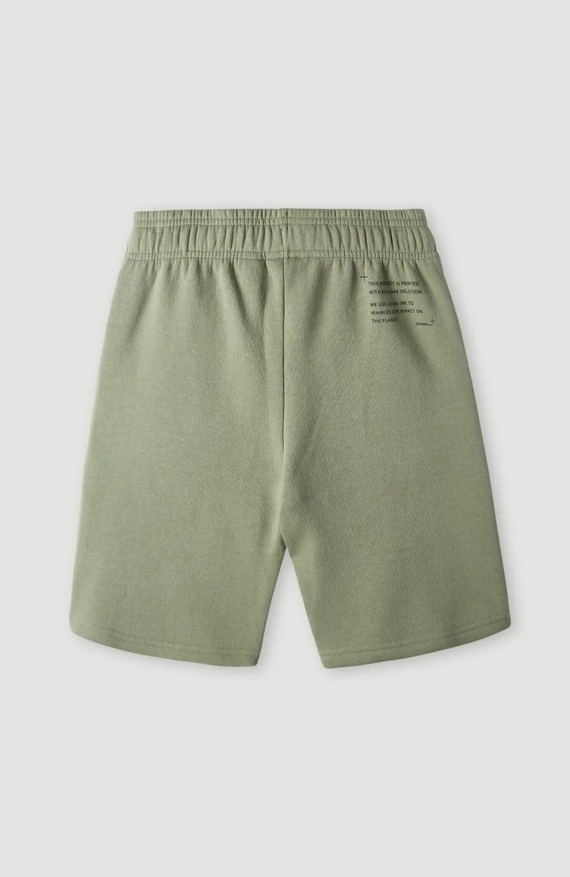O’Neill Future Surfshort | Deep Lichen Green