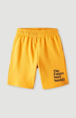 Clearance O’Neill Future Surfshort | Nugget