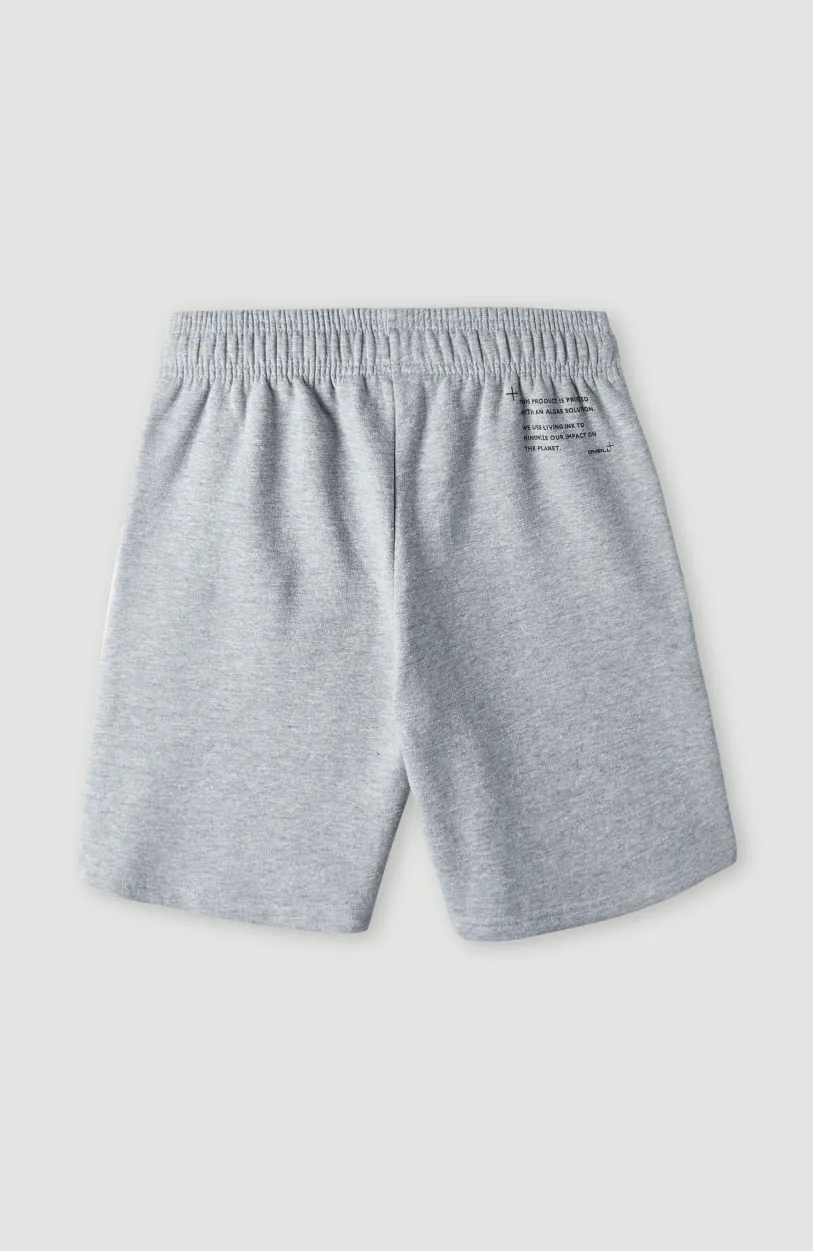 Discount O’Neill Future Surfshort | Silver Melee