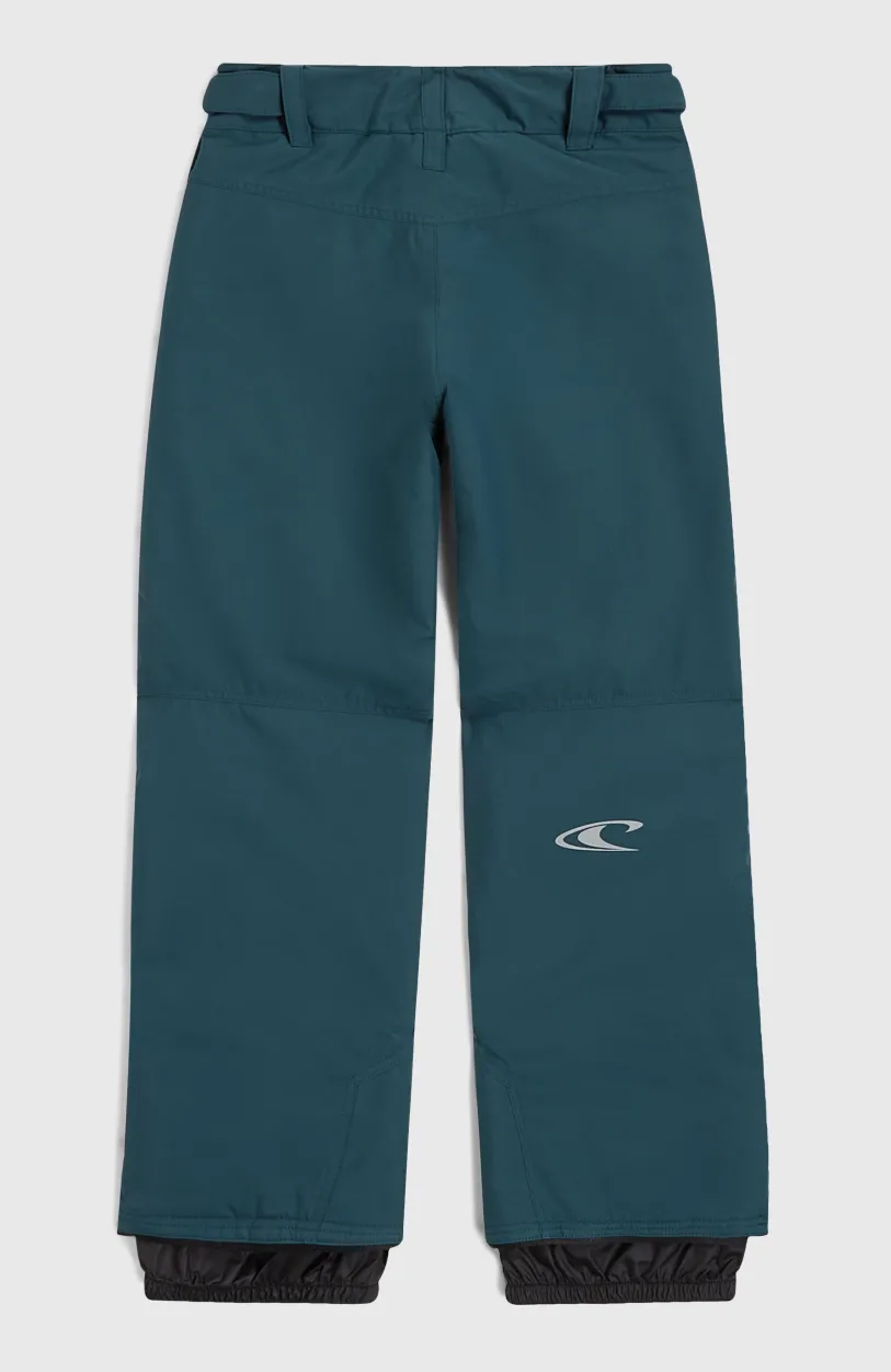 O’Neill Hammer Wintersportbroek | Alma Steel