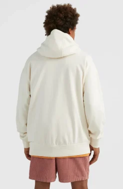 Sale O’Neill Hoodie Camorro | Birch