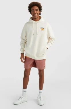 Sale O’Neill Hoodie Camorro | Birch