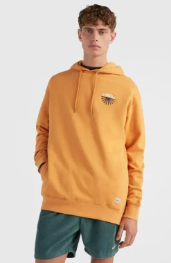 Sale O’Neill Hoodie Camorro | Nugget