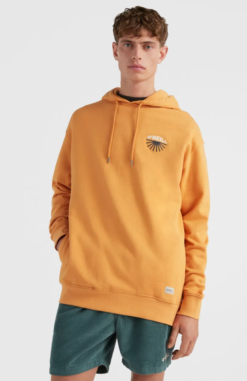 Sale O’Neill Hoodie Camorro | Nugget