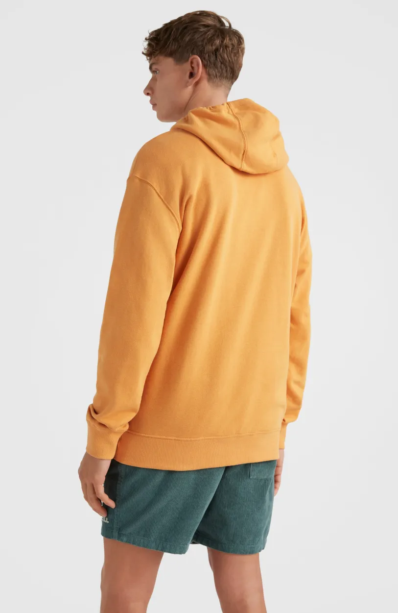 Sale O’Neill Hoodie Camorro | Nugget