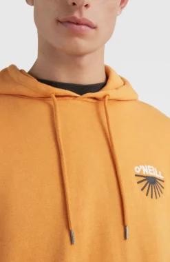 Sale O’Neill Hoodie Camorro | Nugget