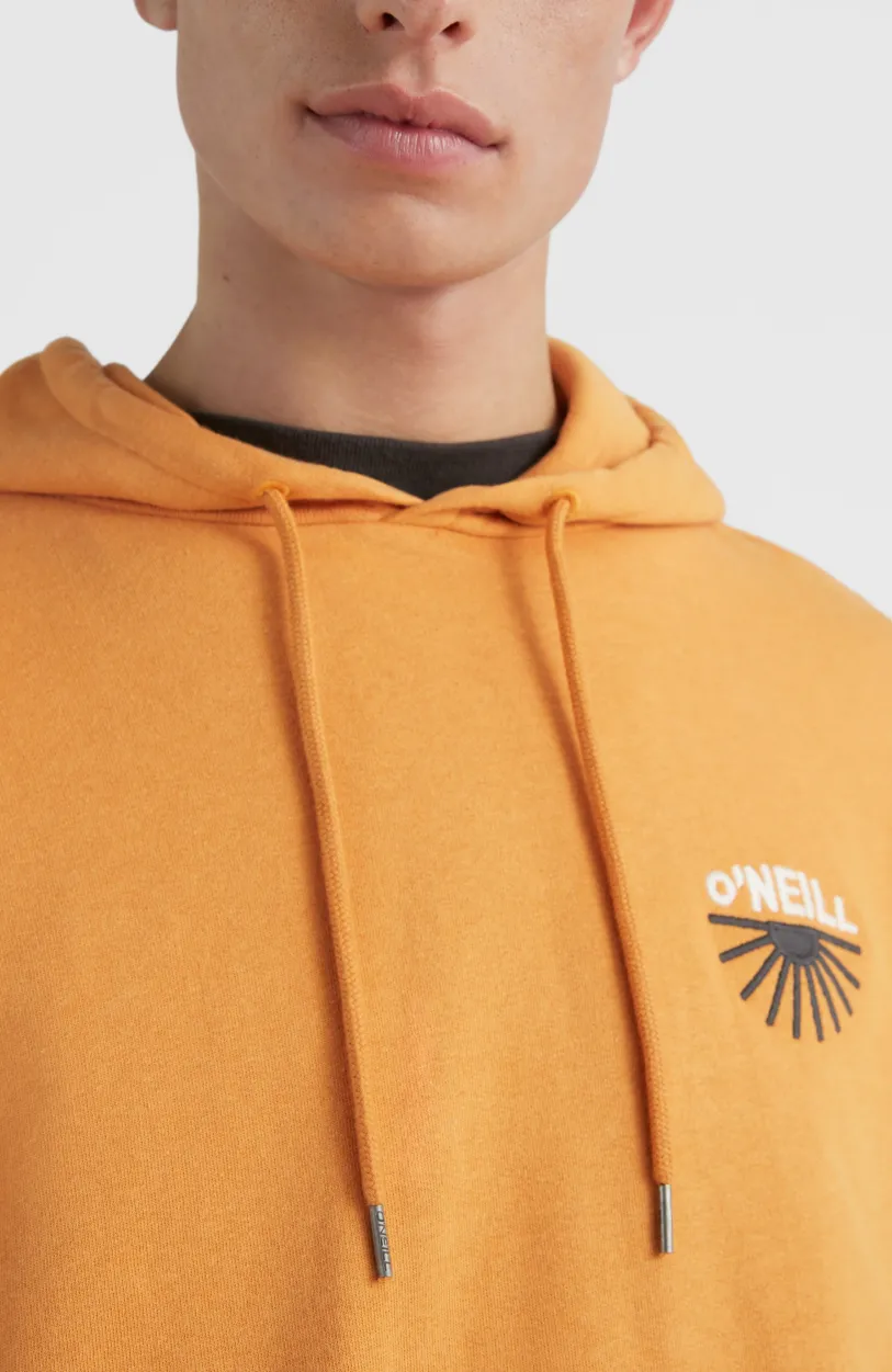 Sale O’Neill Hoodie Camorro | Nugget