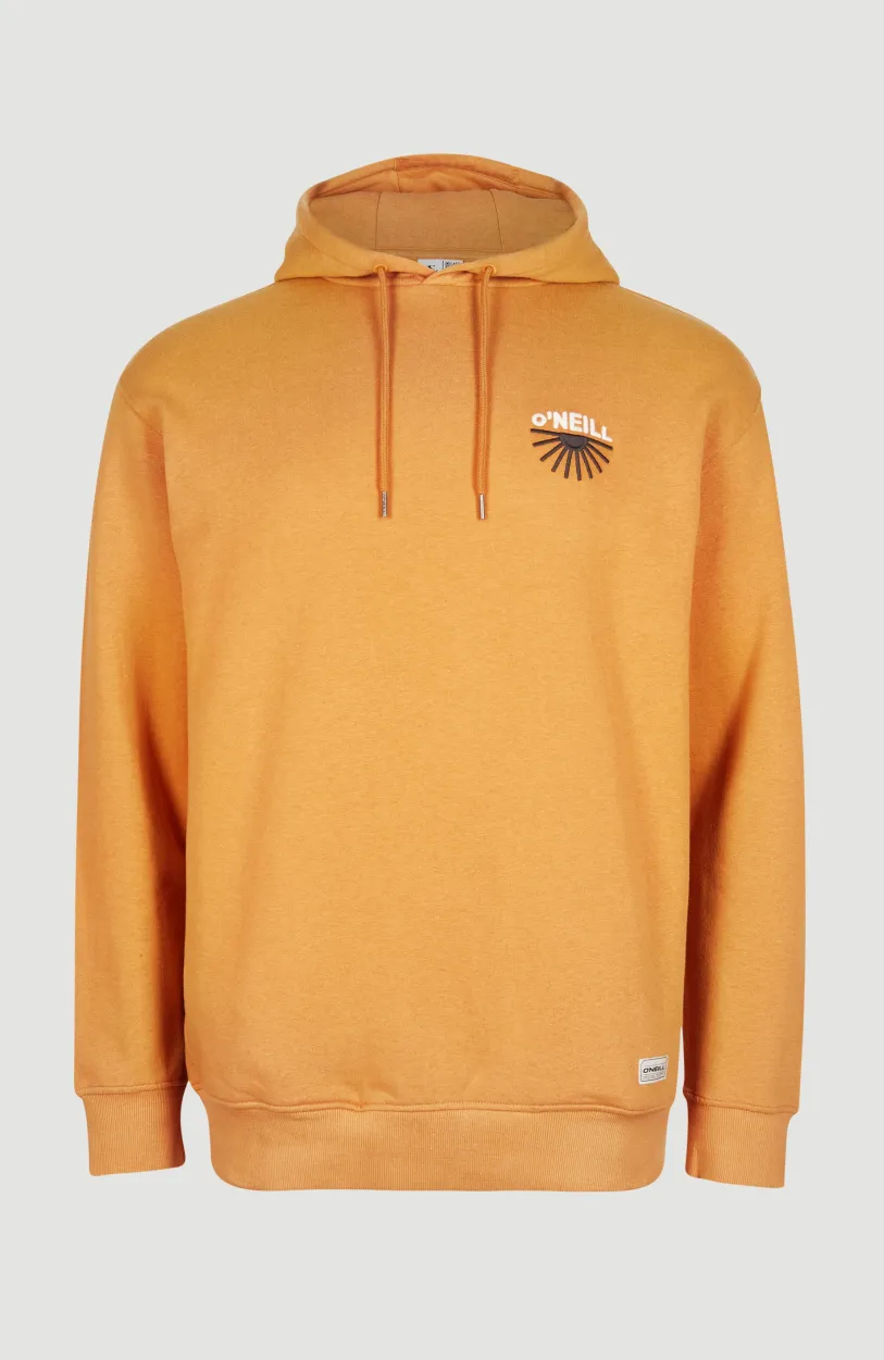Sale O’Neill Hoodie Camorro | Nugget
