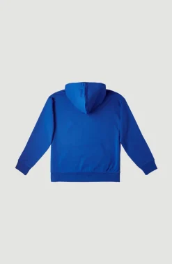 Hot O’Neill Hoodie Checker | Princess Blue
