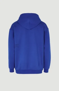Clearance O’Neill Hoodie Future Surf Society | Surf the web Blue