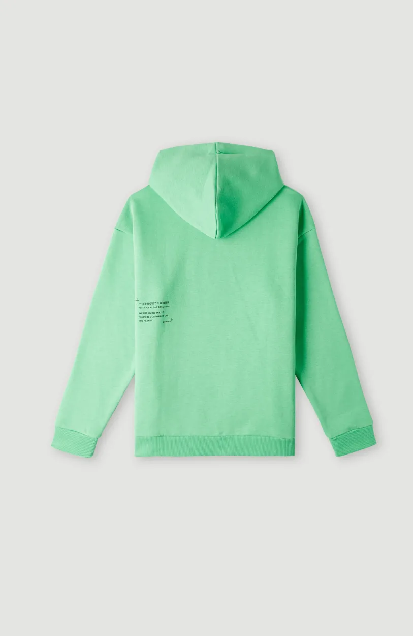 Online O’Neill Hoodie Future Surf Society | Luminous Green