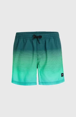 New O’Neill Jack O'Neill Cali Gradient 15