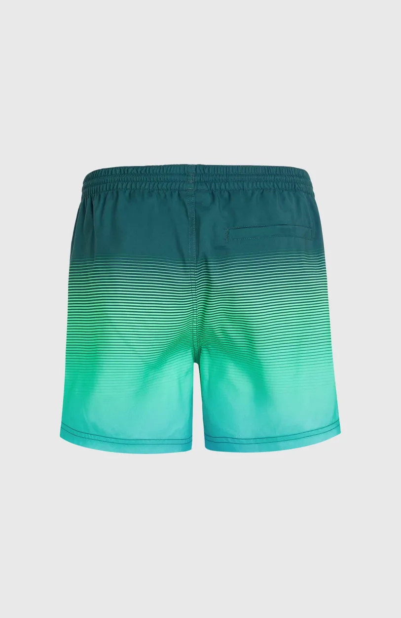 New O’Neill Jack O'Neill Cali Gradient 15" Zwembroek | Beetle Juice Simple Gradient Panel