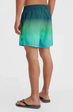 New O’Neill Jack O'Neill Cali Gradient 15