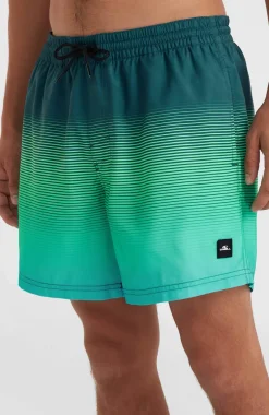 New O’Neill Jack O'Neill Cali Gradient 15