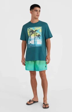 New O’Neill Jack O'Neill Cali Gradient 15