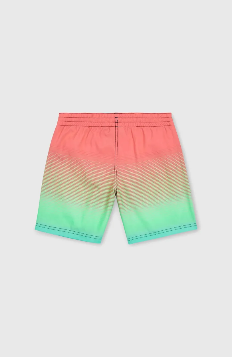 Discount O’Neill Jack O'Neill Cali Gradient 14" Zwembroek | Living Coral Simple Gradient Panel