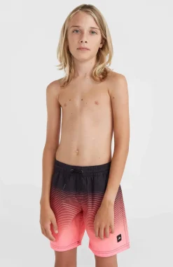 Online O’Neill Jack O'Neill Cali Gradient 14" Zwembroek | Black Simple Gradient Panel