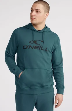 Discount O’Neill Logo Hoodie | Alma Steel