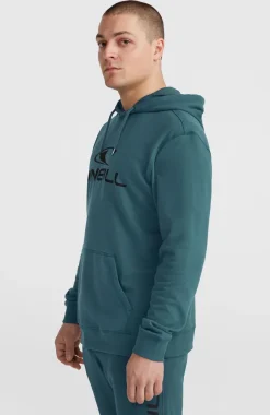 Discount O’Neill Logo Hoodie | Alma Steel