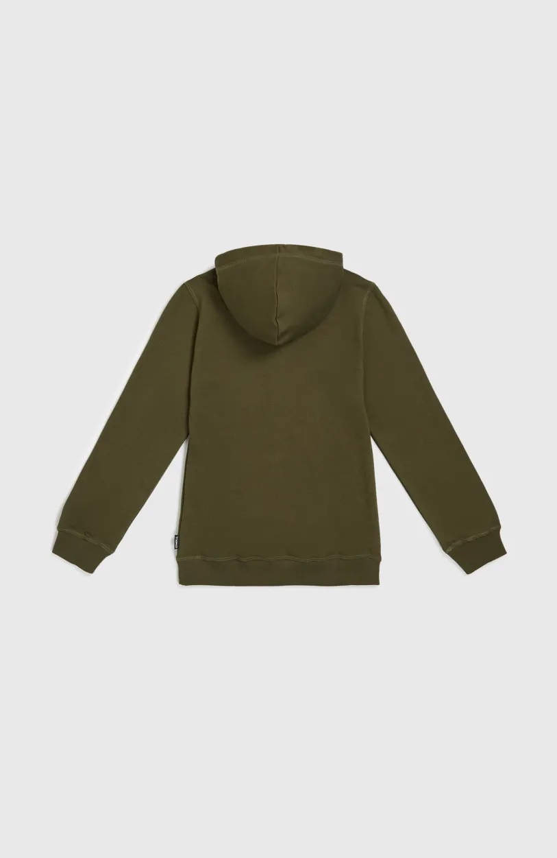 Best O’Neill Logo Hoodie | Forest Night