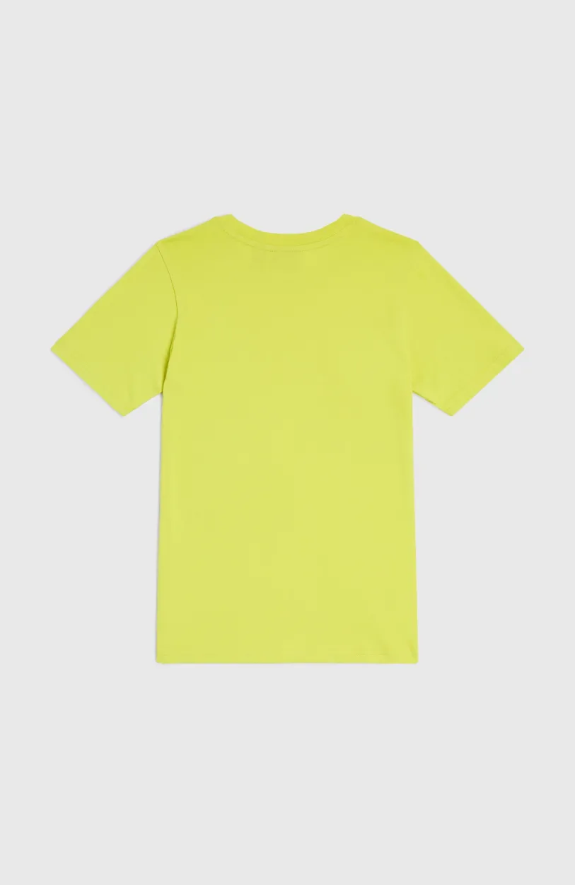 O’Neill Logo T-shirt | Luca Lime