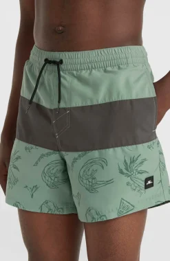 Hot O’Neill Mix And Match Cali Block 15" Zwembroek | Green Vintage Surfer
