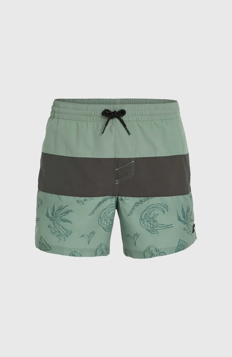 Hot O’Neill Mix And Match Cali Block 15" Zwembroek | Green Vintage Surfer