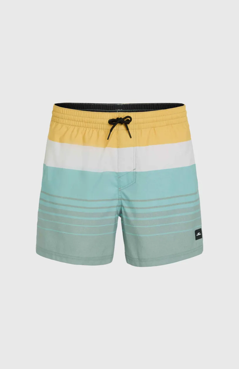 Discount O’Neill Mix And Match Cali Print 15'' Zwembroek | Green Mix&Match Panel Print