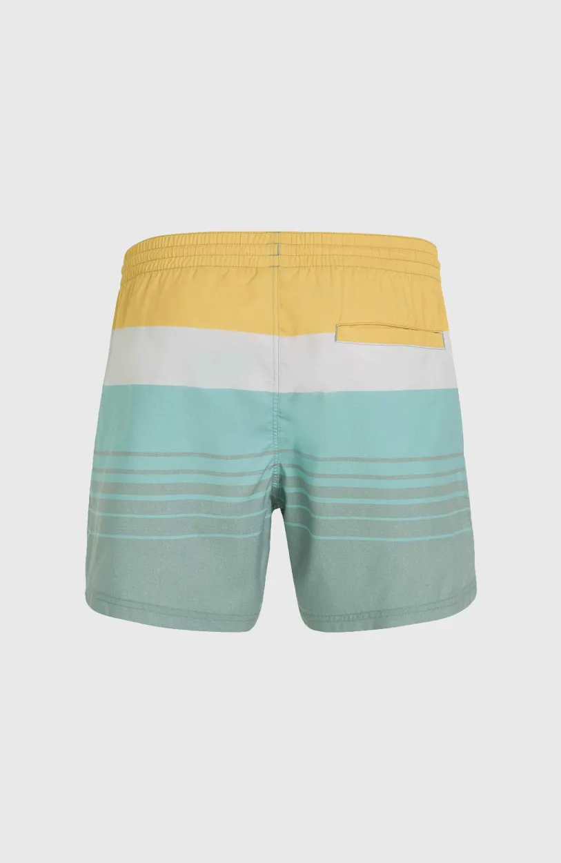 Discount O’Neill Mix And Match Cali Print 15'' Zwembroek | Green Mix&Match Panel Print