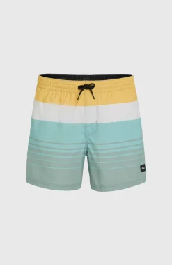 Discount O’Neill Mix And Match Cali Print 15'' Zwembroek | Green Mix&Match Panel Print