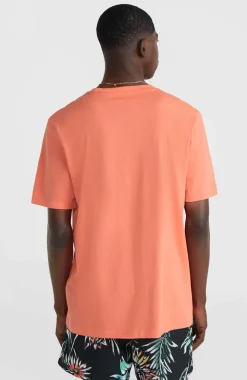 Clearance O’Neill Mix And Match Palm T-shirt | Living Coral