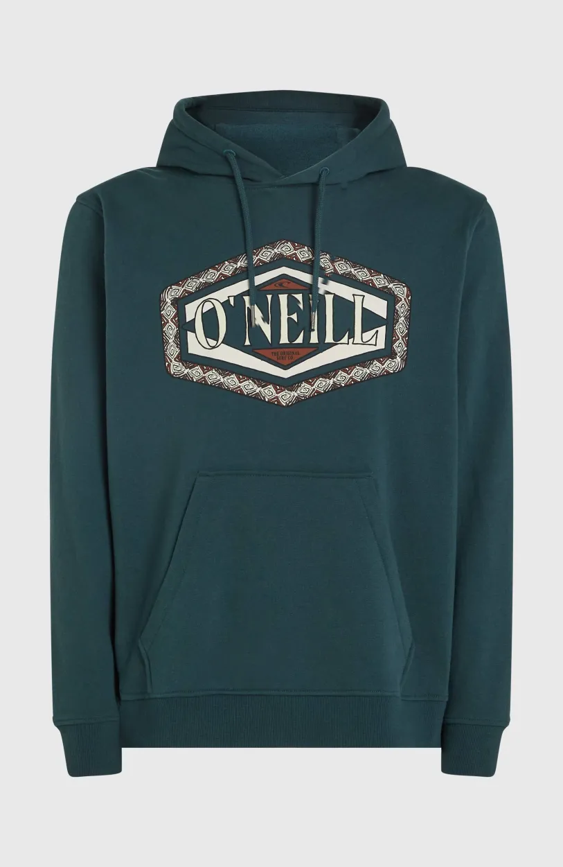 Discount O’Neill O'Neill Front Print Hoodie | Alma Steel