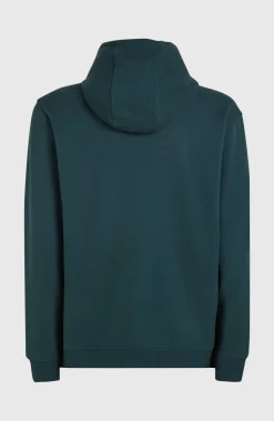 Discount O’Neill O'Neill Front Print Hoodie | Alma Steel