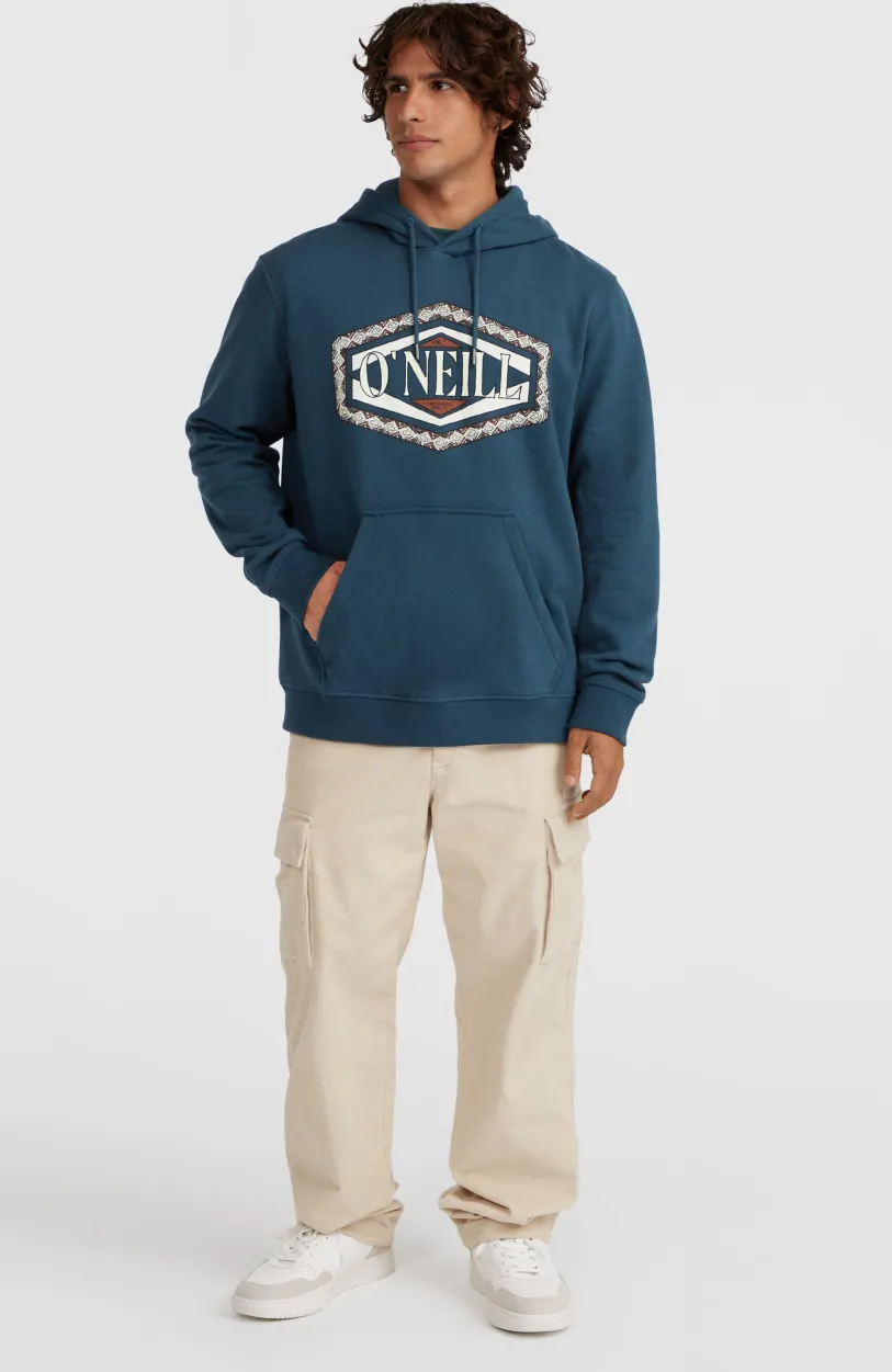 Discount O’Neill O'Neill Front Print Hoodie | Alma Steel