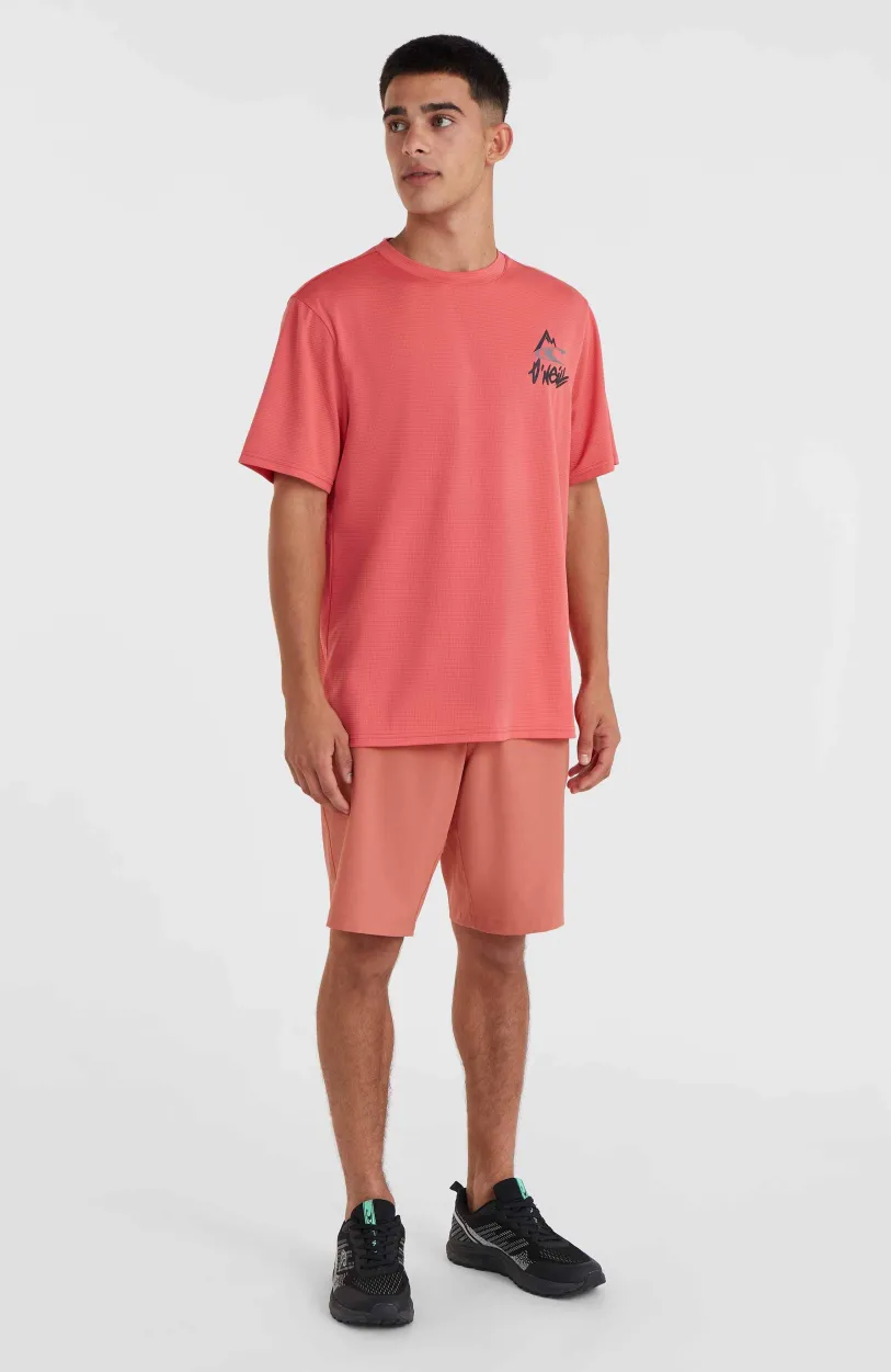 Online O’Neill O'Neill Hybrid Chinoshort | Red Orcher