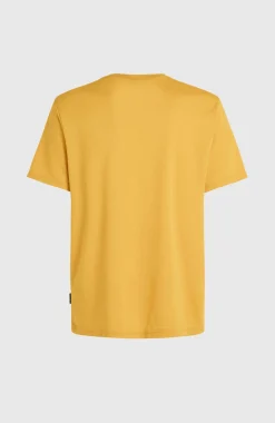 Online O’Neill O'Neill Hybrid Logo Polygiene T-shirt | Golden Haze