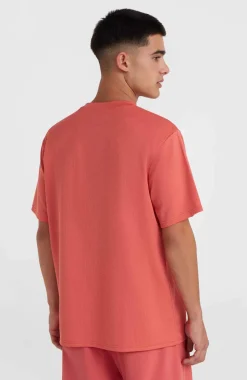 Hot O’Neill O'Neill Hybrid Logo Polygiene T-shirt | Red Orcher