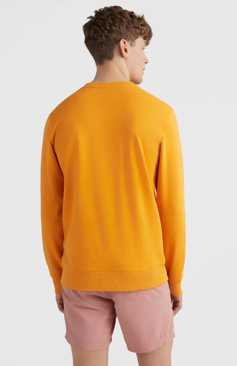 New O’Neill O'Neill Logo Crew Sweater | Nugget