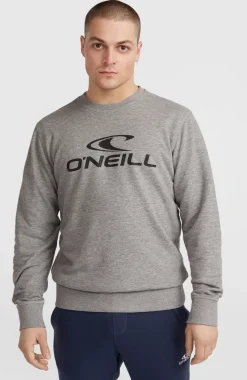 Discount O’Neill O'Neill Logo Crew Sweater | Silver Melee