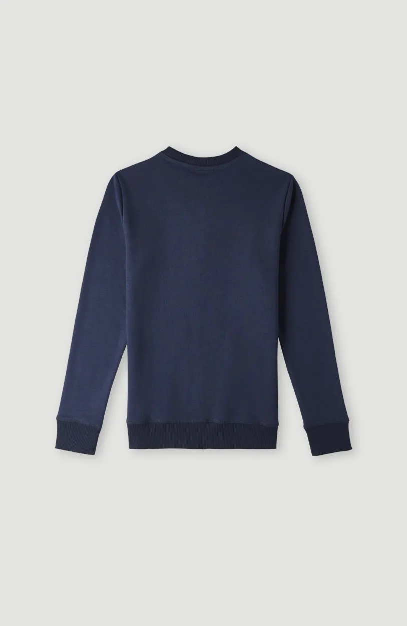 Clearance O’Neill O'Neill Logo Crew Sweater | Ink Blue