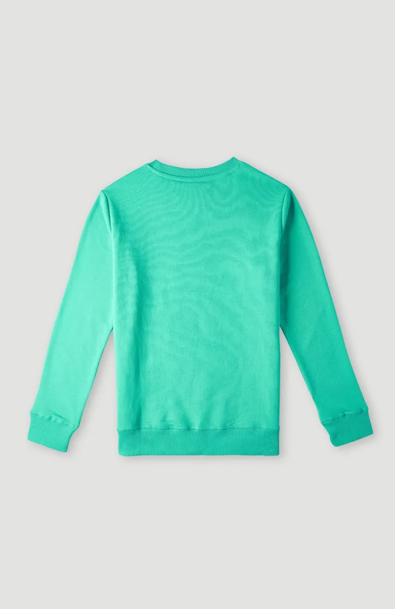 Outlet O’Neill O'Neill Logo Crew Sweater | Sea Green