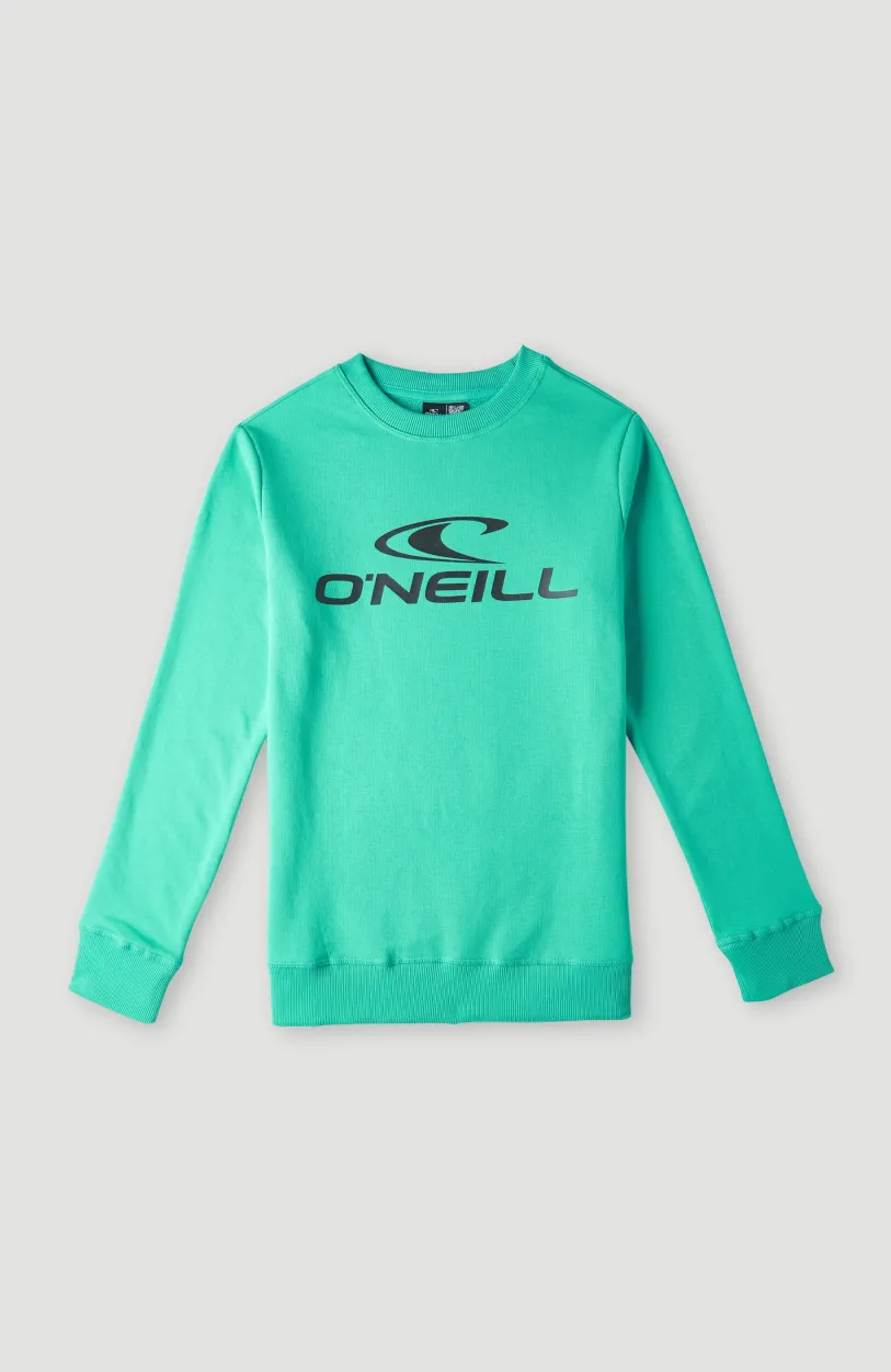 Outlet O’Neill O'Neill Logo Crew Sweater | Sea Green
