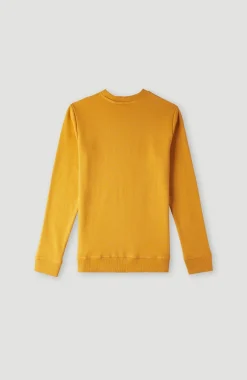 Clearance O’Neill O'Neill Logo Crew Sweater | Nugget