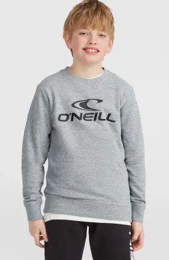 Sale O’Neill O'Neill Logo Crew Sweater | Silver Melee